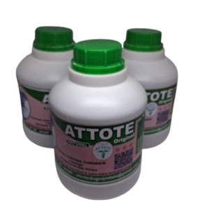 Attoté Original Naturel – Traditional African Herbal Wellness Preparation - Image 3